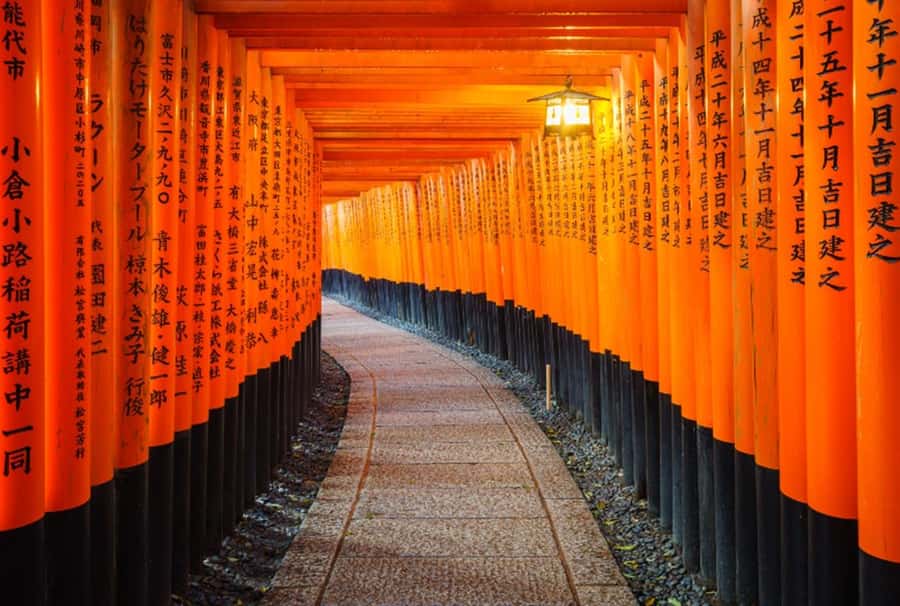 Osaka/Kyoto:Kinkakuji,Arashiyama,FushimiInariShrine,NaraPark - Why this Osaka-Kyoto highlights loop is a smart use of one day