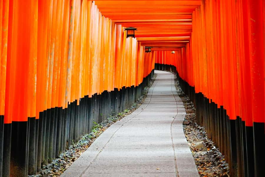 Osaka/Kyoto:Kinkakuji,Arashiyama,FushimiInariShrine,NaraPark - The real schedule: ~9 hours, prompt departures, and why it can feel full