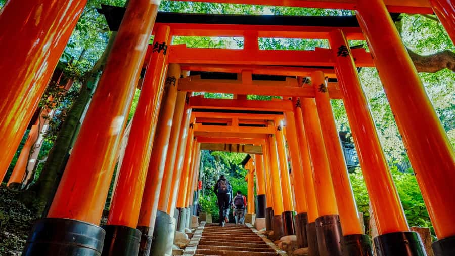 Osaka/Kyoto:Kinkakuji,Arashiyama,FushimiInariShrine,NaraPark - Price and logistics: what $66 really covers