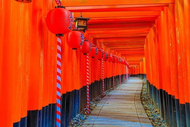Osaka & Kyoto & Nara Top Hightlights English Speaking Tour - Why This Kyoto and Nara Tour Starts in Osaka (And How That Affects Your Day)
