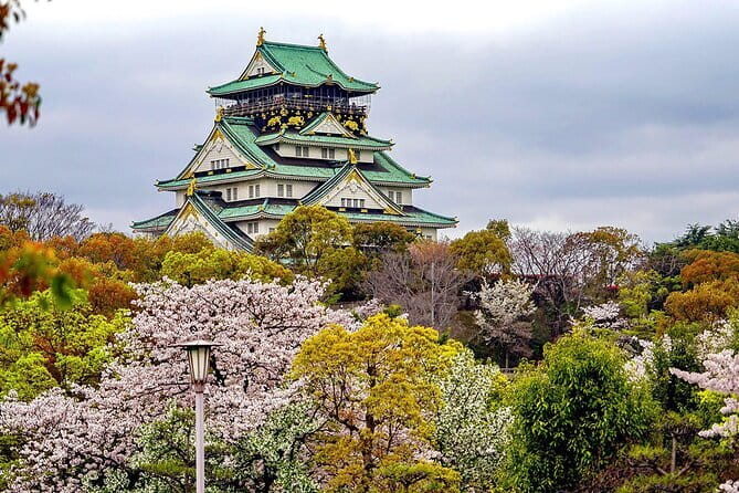 Osaka & Kyoto & Nara Top Hightlights English Speaking Tour - Nara Park Deer Time, Plus What to Expect Around Todaiji