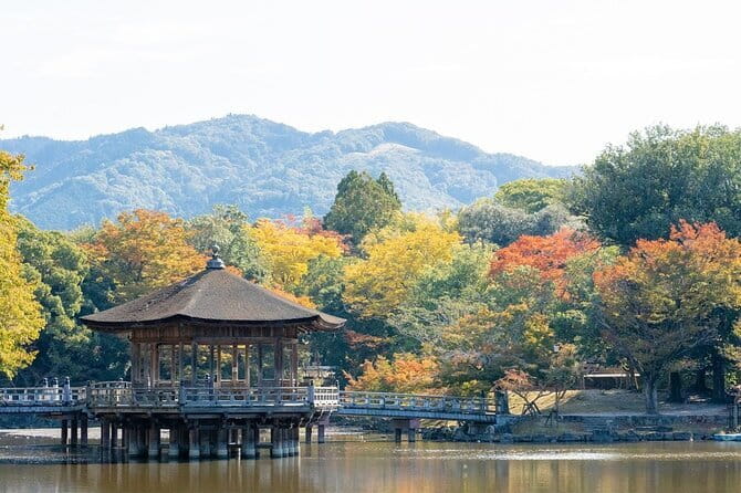 Osaka & Kyoto & Nara Top Hightlights English Speaking Tour - Shinsaibashi Finish: Why Your Day Ends in Osaka (And What to Do With That Hour)