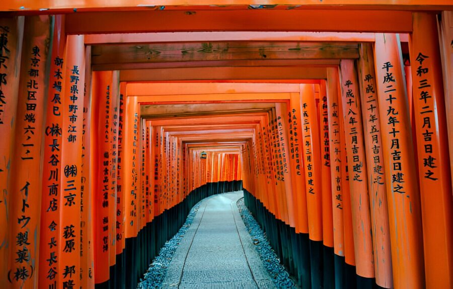 Osaka/Kyoto: Private Kyoto and Nara Day Trip - Price value: $516 per group up to 6 people