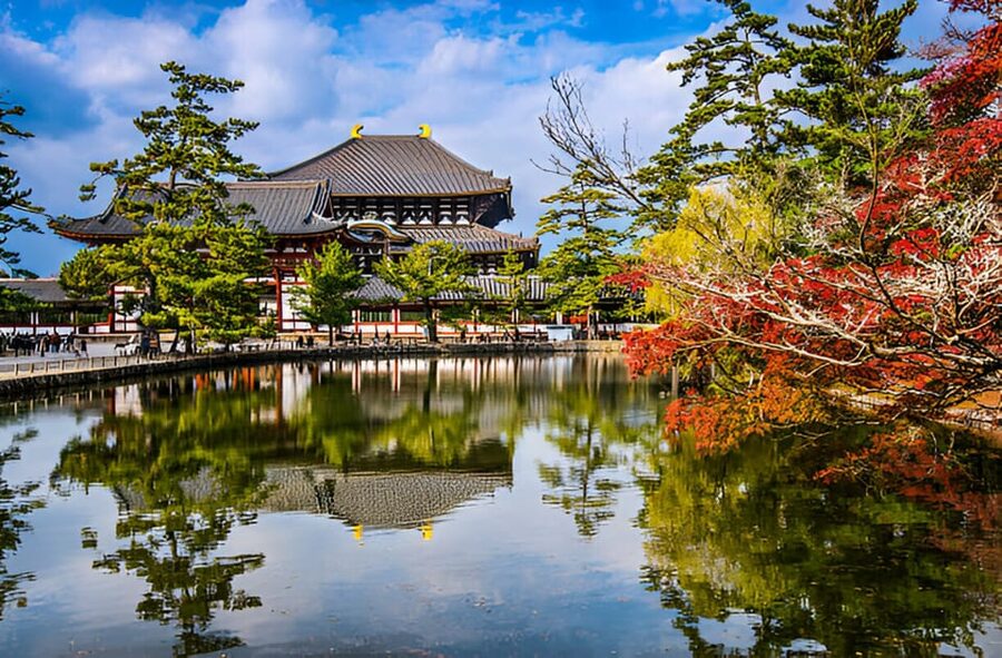 Osaka/Kyoto: Private Kyoto and Nara Day Trip - Choosing Kyoto-only, Nara-only, or both inside a 10-hour frame