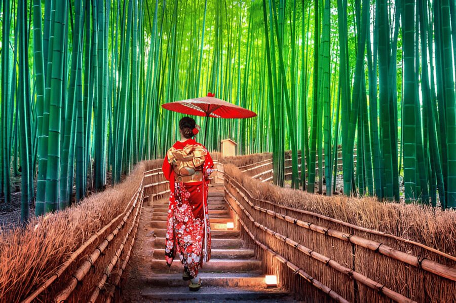 Osaka/Kyoto: Private Kyoto and Nara Day Trip - Fushimi Inari Taisha: a full hour to walk the torii paths
