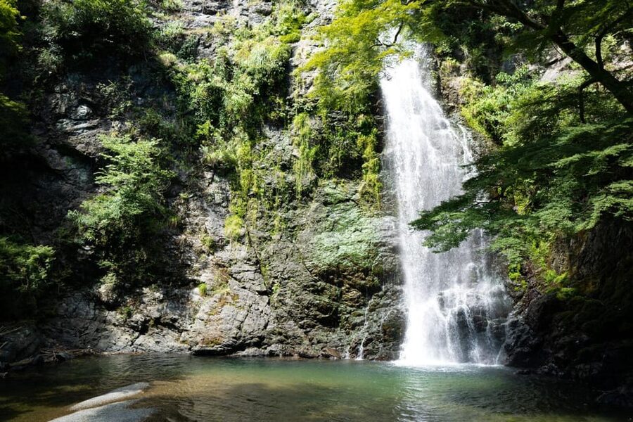 Osaka: Minoh, Katsuoji Temple, & Minoh Falls Full-day Tour - Ryuan-ji adds another quiet temple layer