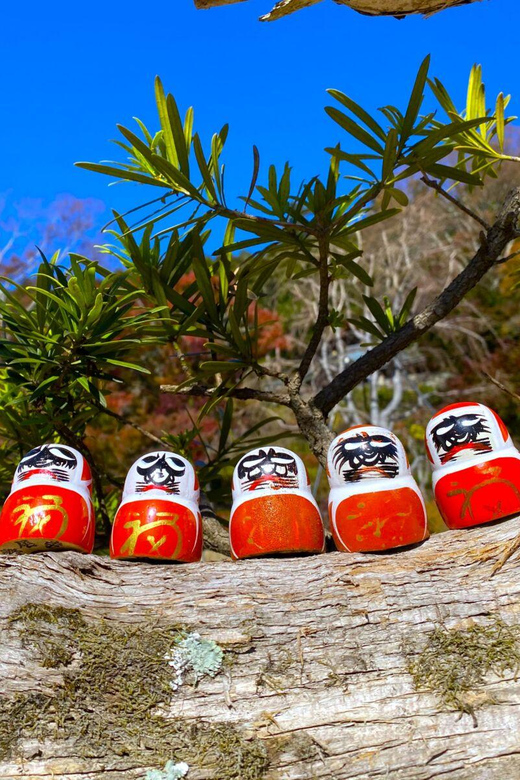 Osaka: Minoh, Katsuoji Temple, & Minoh Falls Full-day Tour - Price and value for a full-day guided escape