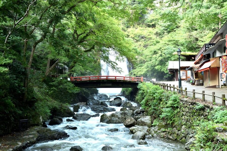 Osaka: Minoh, Katsuoji Temple, & Minoh Falls Full-day Tour - Getting there smoothly from JR Osaka Station