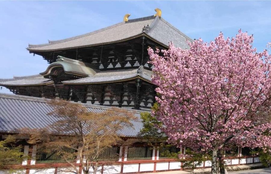 Osaka: Nara and Uji Day Trip with Deer Park and Hot Spring - Key Highlights You Will Actually Care About