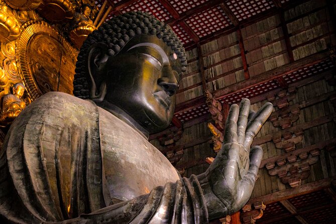 Osaka & Nara in 1-Day by Private Van with Local Expert Guide - Key things to know before you go