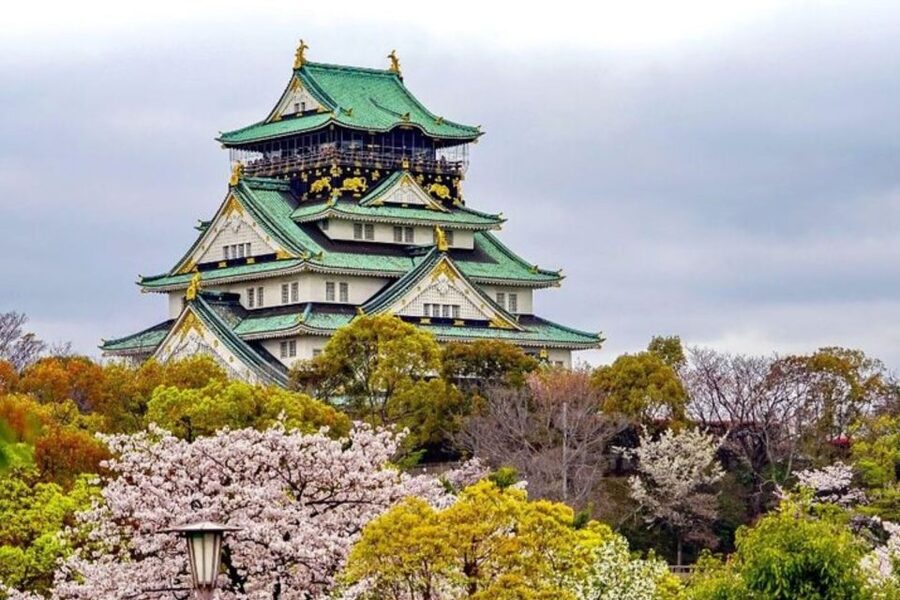 Osaka: Private Custom Walking Tour with a Local Guide - Getting around with less stress: walking first, public transport support