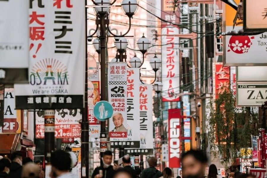 Osaka: Private Custom Walking Tour with a Local Guide - The guide experience: languages, pacing, and real-city advice