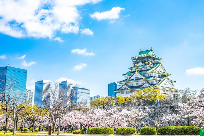 Osaka Private Day Trip - Enjoy Your First-Time Visit to Osaka! - Quick Hits Before You Go
