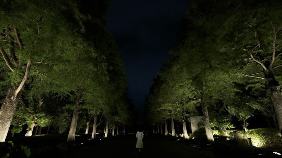 Osaka: teamLab Botanical Garden Entry Ticket - Entering Nagai Botanical Garden as an Art Space