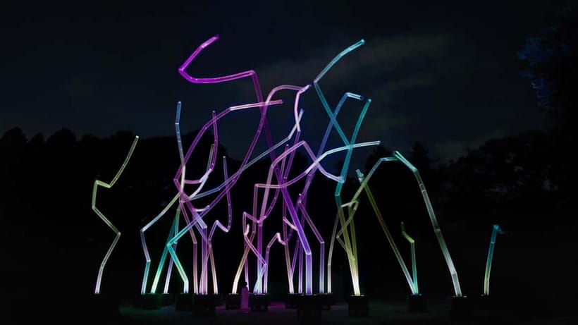 Osaka: teamLab Botanical Garden Entry Ticket - The Moment It Changes: When the Lights Come On