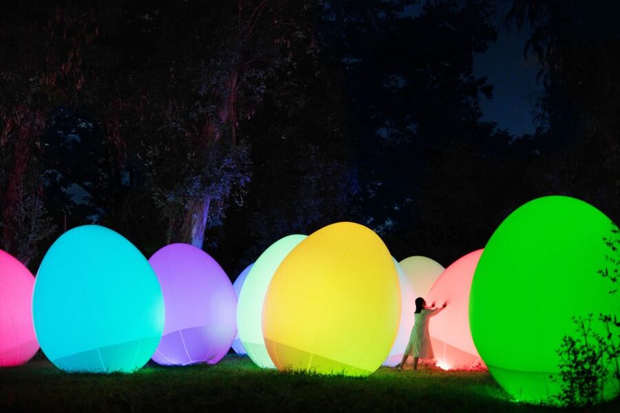 Osaka: teamLab Botanical Garden Entry Ticket - How the teamLab Art Interacts With Nature and Visitors