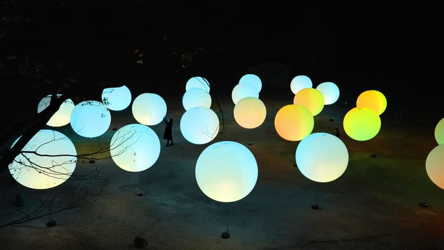 Osaka: teamLab Botanical Garden Entry Ticket - Interactive Moments You Can Look Forward To