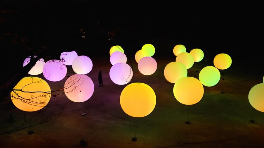 Osaka: teamLab Botanical Garden Entry Ticket - Timing Tips That Make or Break the Visit