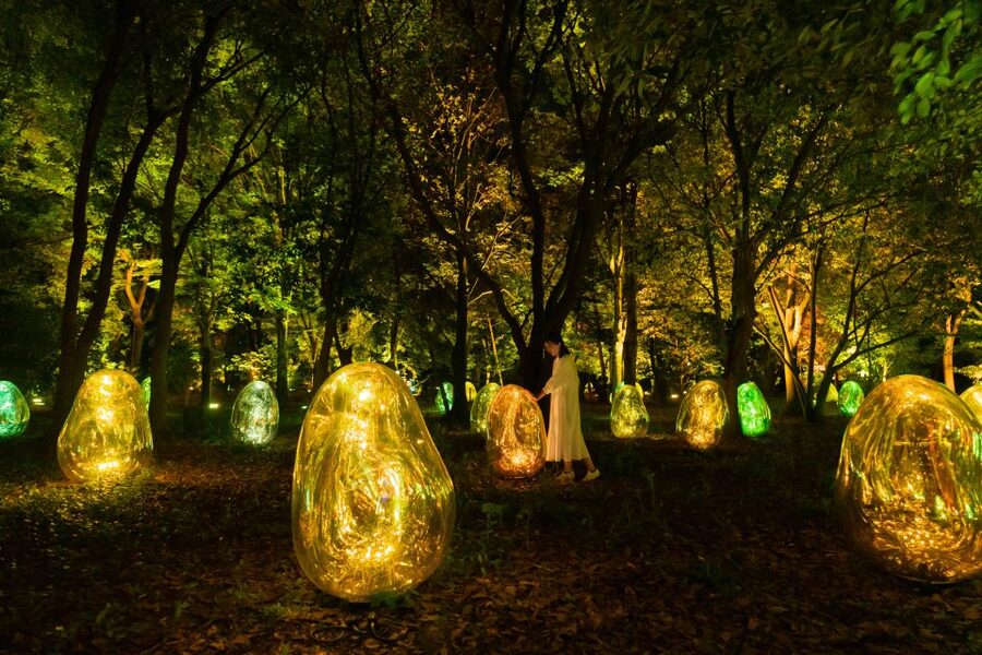 Osaka: teamLab Botanical Garden Entry Ticket - Photo Rules, Sound Sense, and What to Expect From the Crowd