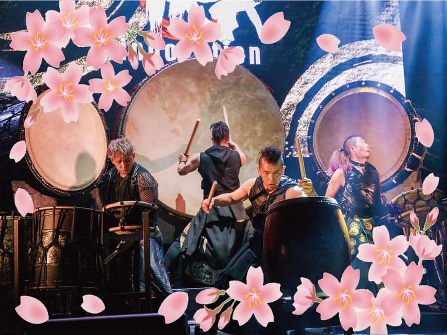 Osaka: UTAGE Japanese Taiko Live Show - Why UTAGE Feels Like Osaka’s Small-Stage Concert