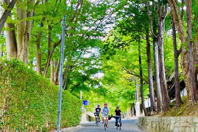 Pedal Adventure Kyoto's iconic landmarks on an e-bike tour - Higashiyama Ward: a temple visit with time to notice details