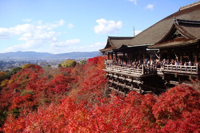 PERFECT KYOTO 1-Day Bus Tour - Key things to know before you go