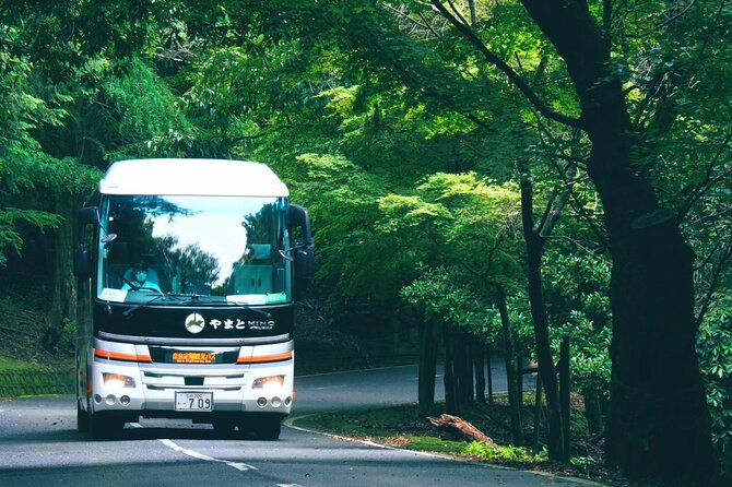 Perfect Nara Park Half-Day Bus Tour with English Speaking Guide - Kofukuji Timing and Your Drop-Off Choices