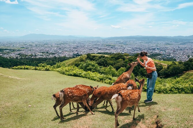 Perfect Nara Park Half-Day Bus Tour with English Speaking Guide - Todaiji Temple, Nandaimon, and the Great Buddha Hall
