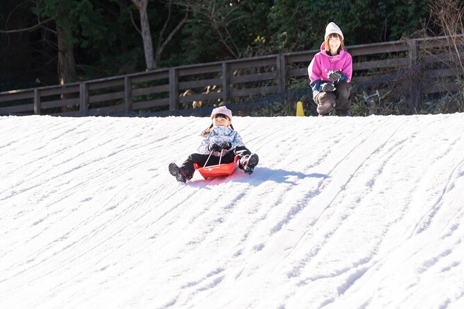 Play with Snow Crab Buffet Lunch and Strawberry Picking Bus Tour - Key things to know before you go