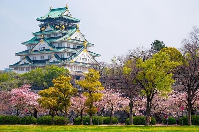 PRIVATE 6hr, Food tour from Osaka Castle, Kuromon, Dotonbori. - Key points before you go