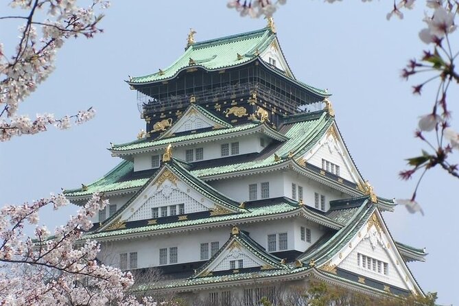 PRIVATE 6hr, Food tour from Osaka Castle, Kuromon, Dotonbori. - Guides make the difference: what you can expect in real human terms