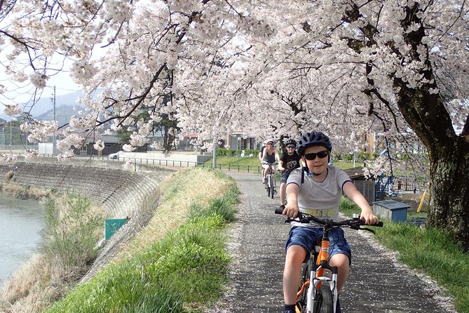 Private Afternoon Cycling Tour in Hida-Furukawa - How hard is it, really? Pace, bikes, and family fit