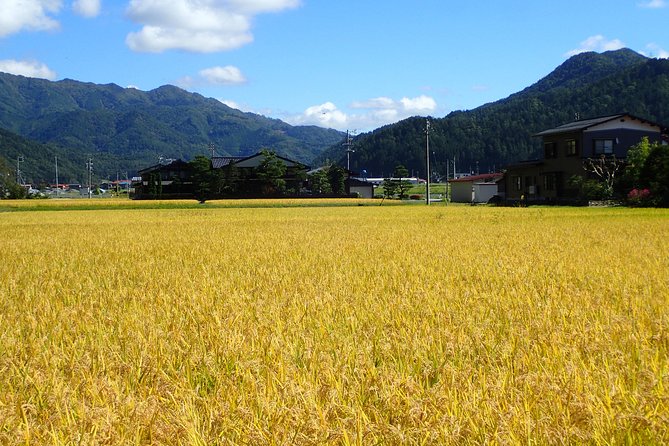 Private Afternoon Cycling Tour in Hida-Furukawa - Meet at the Furukawa office, then roll at 2:00 pm