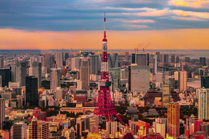 Private and Customisable Tokyo Tour with English Driver-guide - Key highlights that make this Tokyo day work