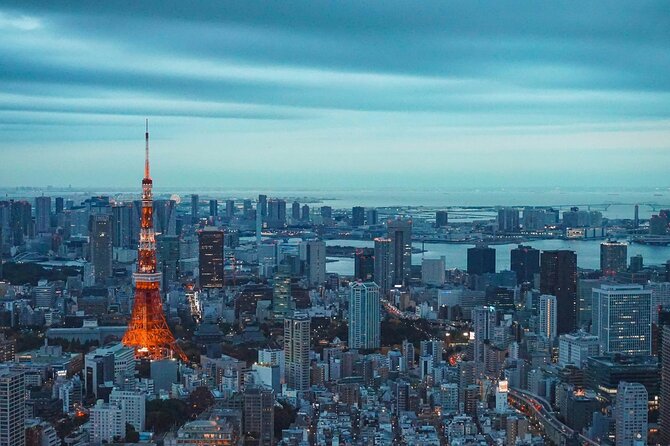 Private and Customisable Tokyo Tour with English Driver-guide - Private car tour logic: fewer headaches, more Tokyo time