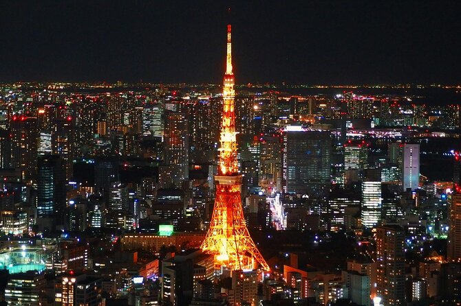 Private and Customisable Tokyo Tour with English Driver-guide - The comfort package: pickup, Wi-Fi, and air-conditioned travel