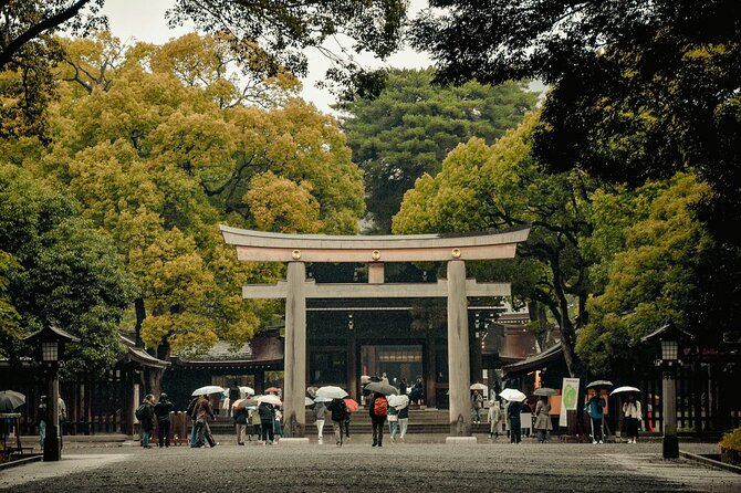 Private and Customisable Tokyo Tour with English Driver-guide - Ueno Park and the Imperial Palace: a calmer midday reset