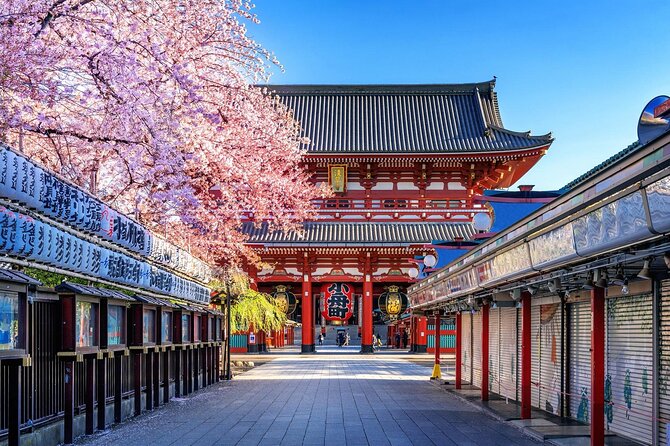 Private and Customisable Tokyo Tour with English Driver-guide - Ginza and Tokyo Station: shopping energy with an easy transit backbone