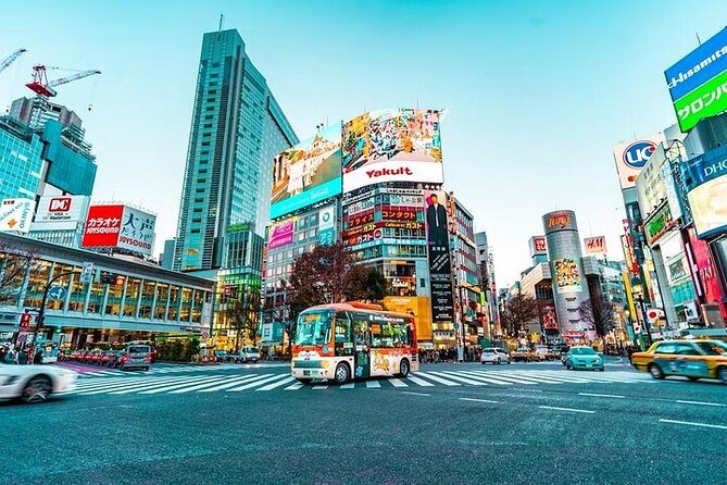 Private and Customisable Tokyo Tour with English Driver-guide - Odaiba, Tsukiji, and Shibuya Crossing: modern, seafood, then the big intersection