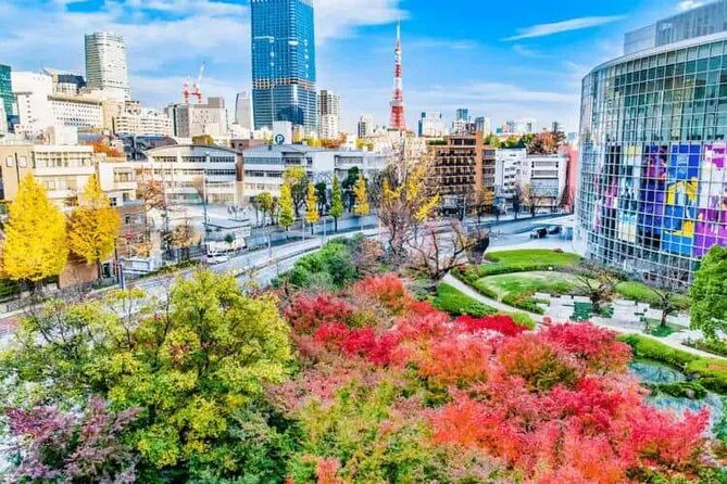 Private and Customisable Tokyo Tour with English Driver-guide - Harajuku and Meiji Jingu: street style fun, then quiet forest air