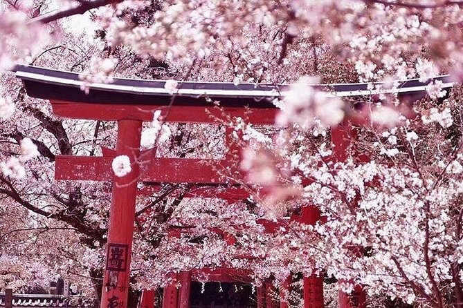 Private arrival transfer from Kansai International airport to Kyoto City - Why This KIX to Kyoto Private Transfer Works