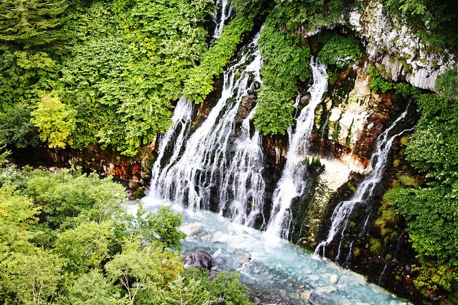 【Private Car】Asahiyama Zoo, Blue Pond, Shirahige Falls, Ningle Terrace (from Sapporo) - Why This Sapporo-to-Hokkaido Route Feels Efficient