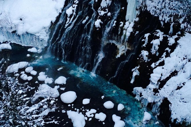 【Private Car】Asahiyama Zoo, Blue Pond, Shirahige Falls, Ningle Terrace (from Sapporo) - The 8:00 AM Start, and What It Means for Your Day