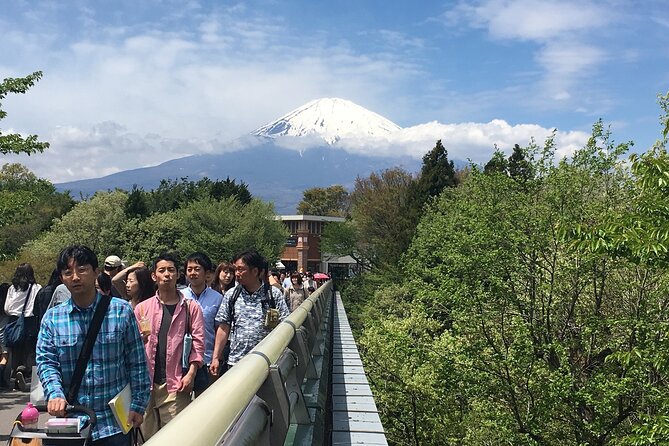 Private Car Mt Fuji and Gotemba Outlet in One Day from Tokyo - Ropeway, Oishi Park, and Hana Terrace for Views and Snacks
