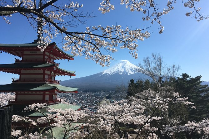 Private Car Mt Fuji and Gotemba Outlet in One Day from Tokyo - Oshino Hakkai and the Shrine Stops That Tie It Together