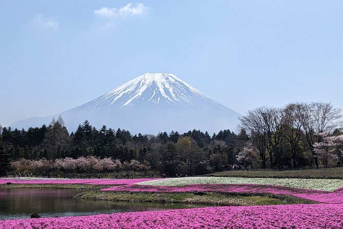 Private Car Mt Fuji and Gotemba Outlet in One Day from Tokyo - Caves and Aokigahara Forest, Adventure With Extra Tickets