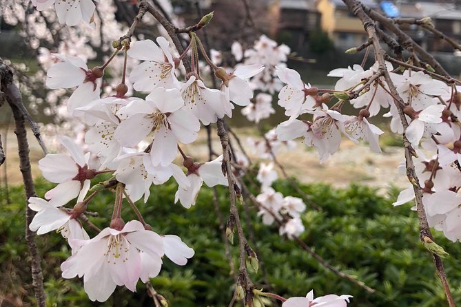 Private car tour in Kyoto (up to 4) - Why this private Kyoto car tour is such a smart setup