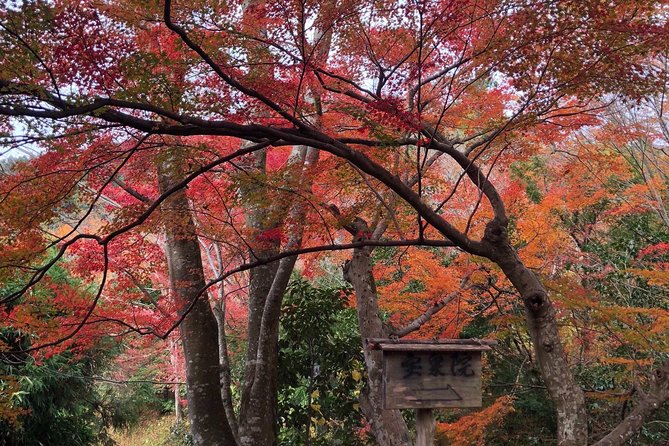 Private car tour in Kyoto (up to 4) - Timing, tickets, and what you should budget for