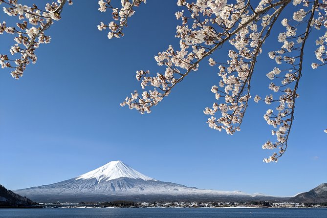 Private Car Tour to Mt. Fuji Lake Kawaguchiko or Hakone - Getting from Tokyo: pickup, long hours, and the traffic reality