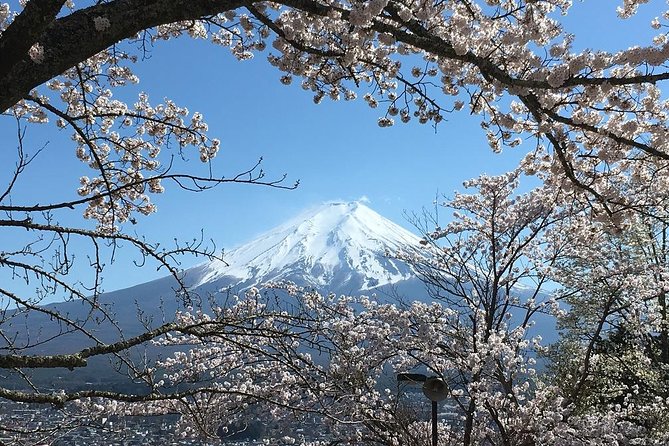 Private Car Tour to Mt. Fuji Lake Kawaguchiko or Hakone - Aokigahara Jukai caves: a different side of Fuji country